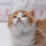 rfdrtgftrg